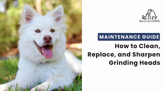 Dog Nail Grinder Maintenance Guide: How to Clean, Replace, and Sharpen Grinding Heads