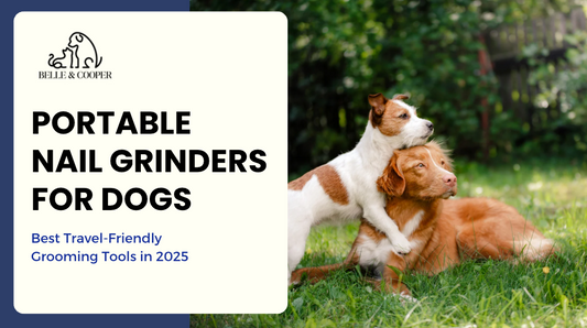 Why Portable Nail Grinders Are Essential for Pet Owners on the Go