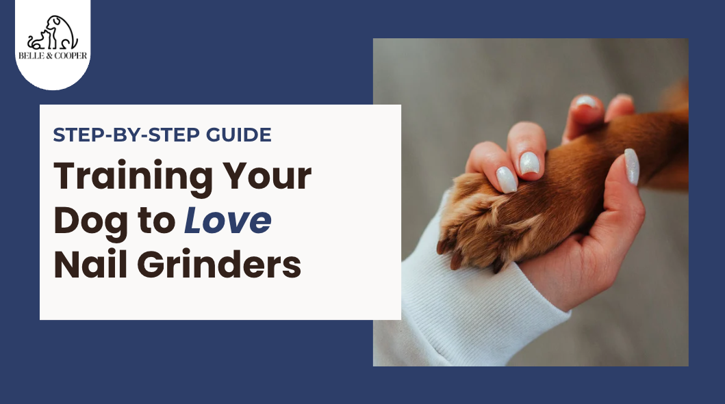 Step-by-Step Guide: Training Your Dog to Love Nail Grinders